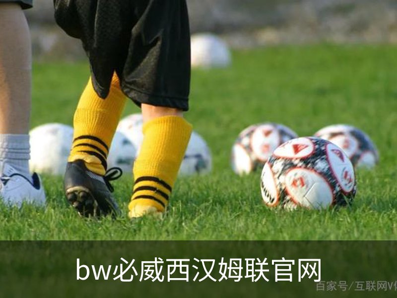 了解bw必威西汉姆联官网